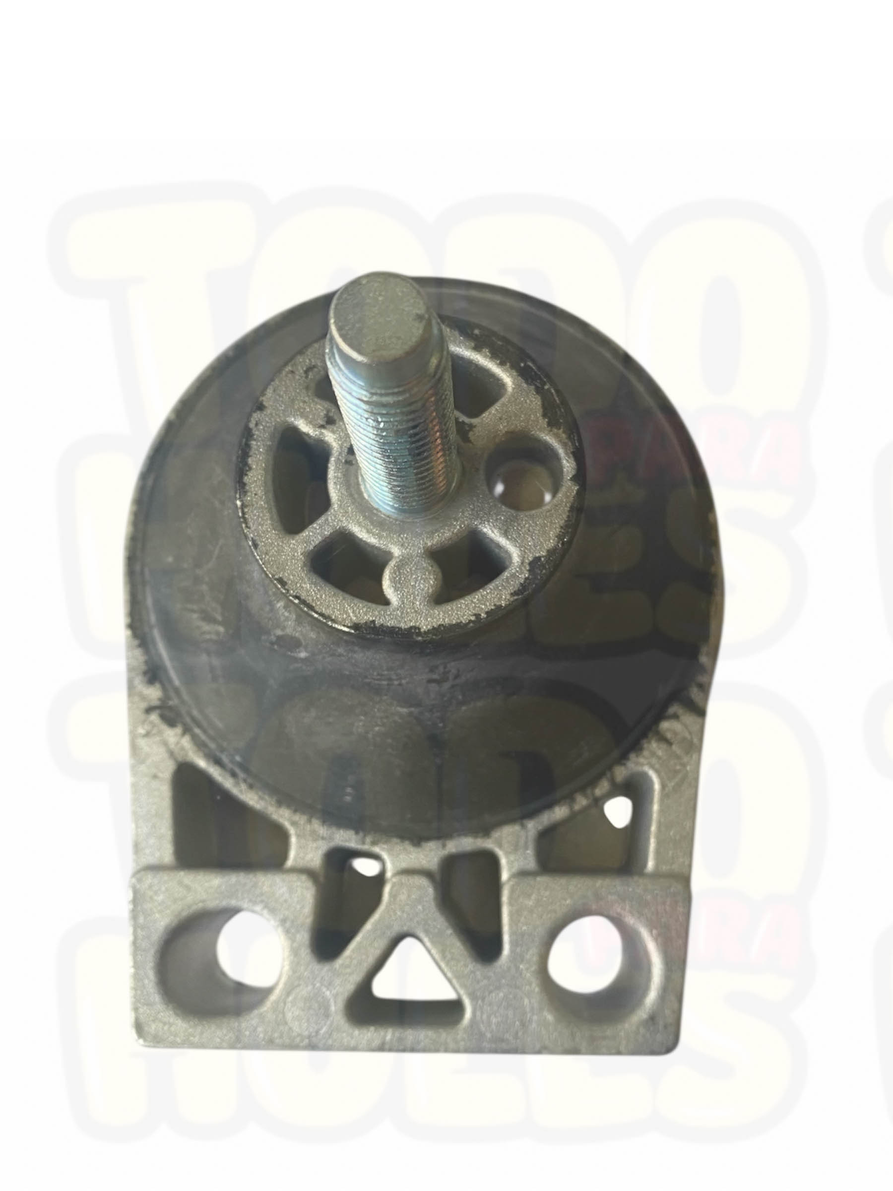 Focus DOHC soporte de motor - Image 2