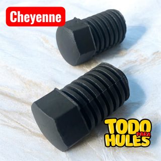 Cheyenne goma de cofre